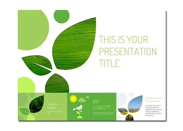 Mẫu Slide PowerPoint miễn phí lấy cảm hứng từ thiên nhiên