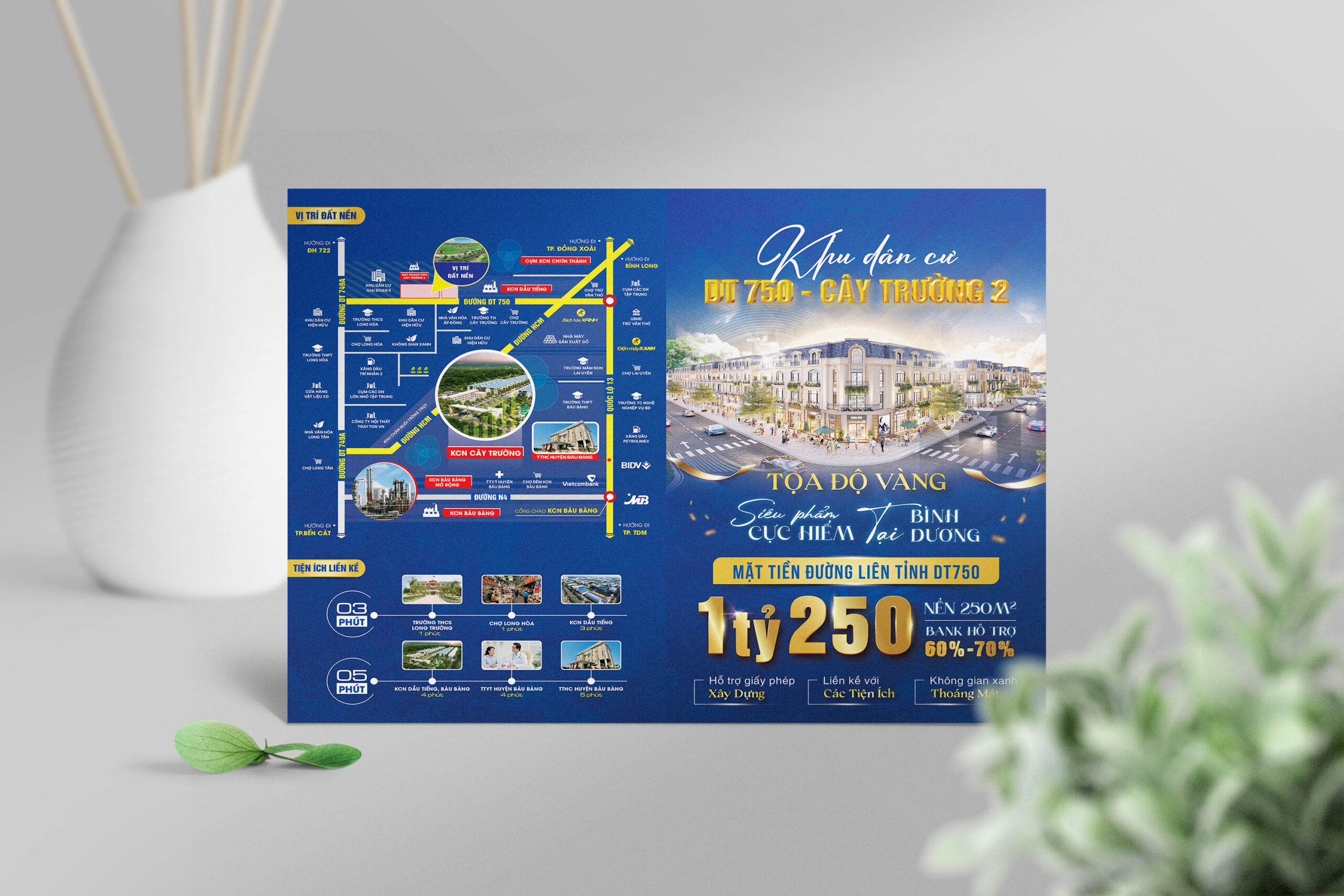 thiet-ke-so-do-phan-lo-du-an-dt750-cay-truong-3