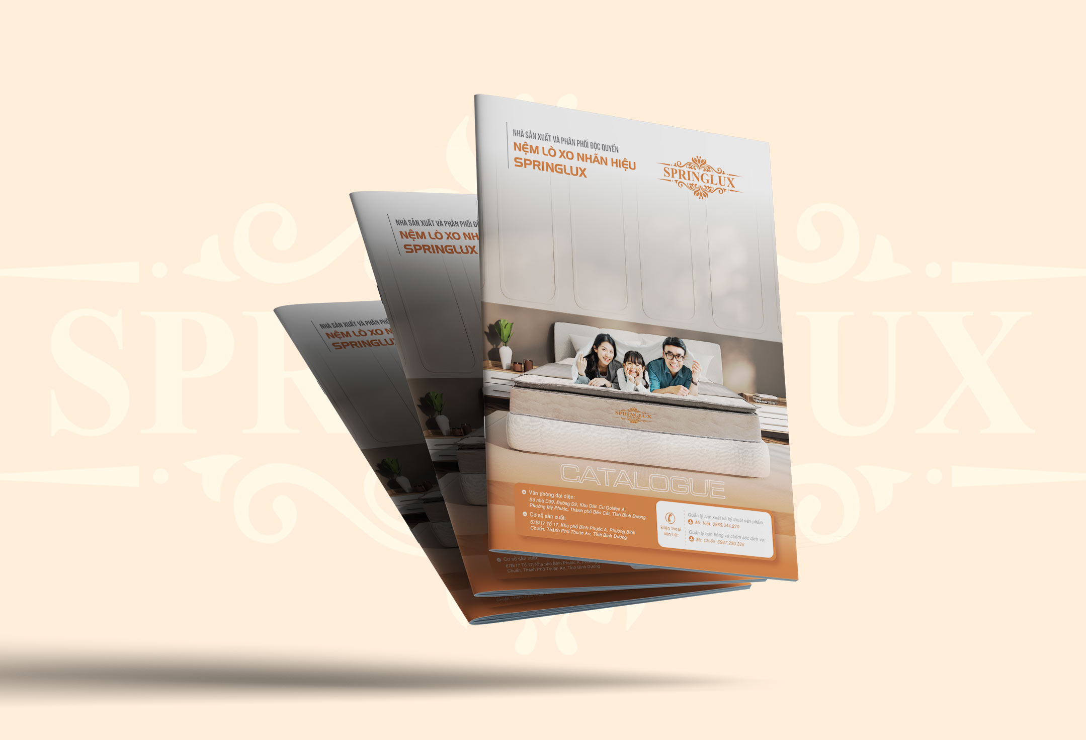 Thiết Kế Profile Springlux