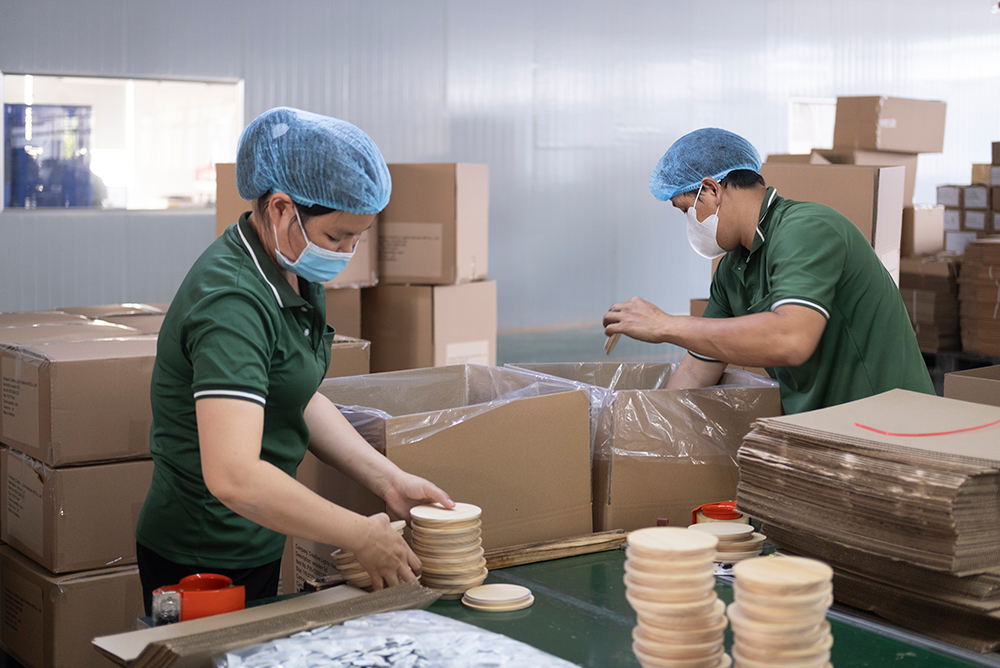 Chụp Hình Nhà Xưởng Và Văn Phòng Công Ty